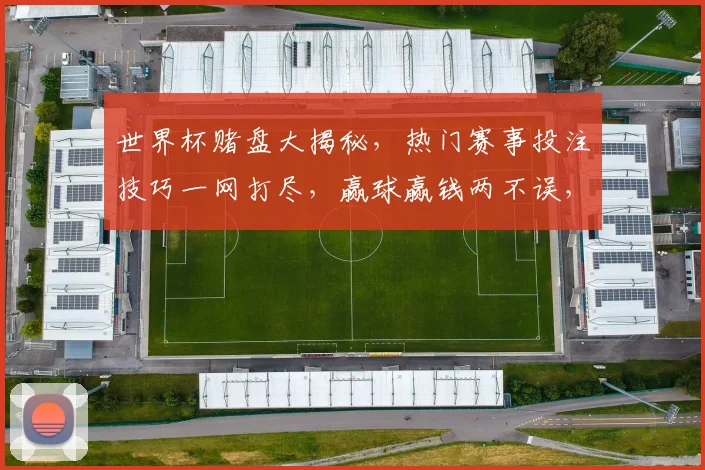 世界杯赌盘大揭秘，热门赛事投注技巧一网打尽，赢球赢钱两不误，必看