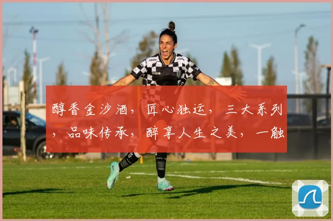 醇香金沙酒，匠心独运，三大系列，品味传承，醉享人生之美，一触即发